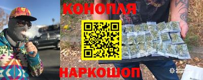 крисы Заводоуковск
