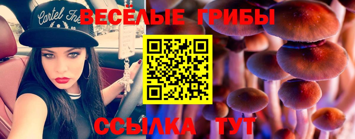 Галлюциногенные грибы Psilocybine cubensis  Псилоцибиновые грибы Magic Shrooms  Мурино  Вход с VPN 